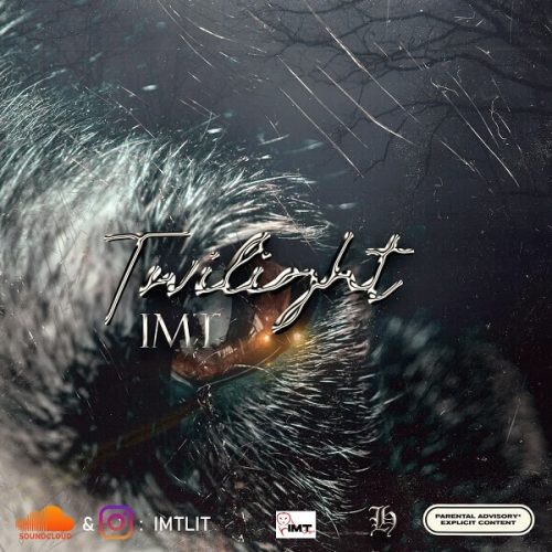 Imt   –  Twilight